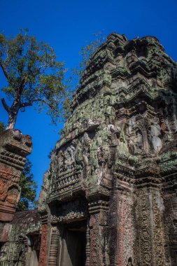 Siem hasadı, Kamboçya, 21 Ocak 2025 'te Angkor Wat kompleksindeki Ta Prohm tapınağının mimarisi, antik Khmer başkenti Angkor' da bulunan bir Hindu-Budist yerleşimi, başlangıçta 1150 yılında inşa edildi..