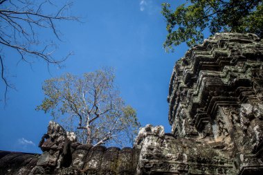 Siem hasadı, Kamboçya, 21 Ocak 2025 'te Angkor Wat kompleksindeki Ta Prohm tapınağının mimarisi, antik Khmer başkenti Angkor' da bulunan bir Hindu-Budist yerleşimi, başlangıçta 1150 yılında inşa edildi..