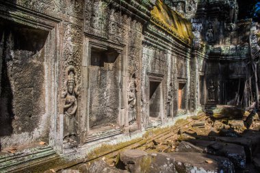 Siem hasadı, Kamboçya, 21 Ocak 2025 'te Angkor Wat kompleksindeki Ta Prohm tapınağının mimarisi, antik Khmer başkenti Angkor' da bulunan bir Hindu-Budist yerleşimi, başlangıçta 1150 yılında inşa edildi..