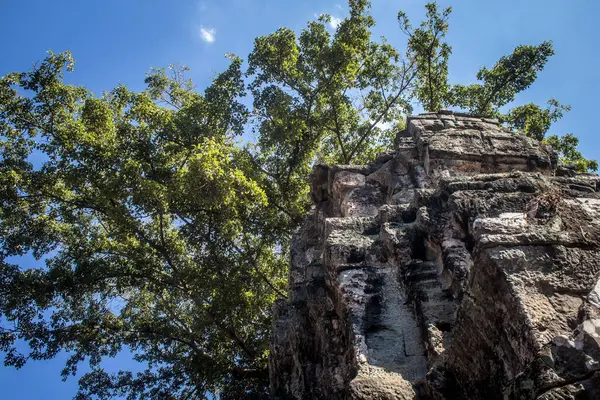 Siem hasadı, Kamboçya, 21 Ocak 2025 'te Angkor Wat kompleksindeki Ta Prohm tapınağının mimarisi, antik Khmer başkenti Angkor' da bulunan bir Hindu-Budist yerleşimi, başlangıçta 1150 yılında inşa edildi..