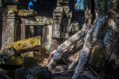 Siem hasadı, Kamboçya, 21 Ocak 2025 'te Angkor Wat kompleksindeki Ta Prohm tapınağının mimarisi, antik Khmer başkenti Angkor' da bulunan bir Hindu-Budist yerleşimi, başlangıçta 1150 yılında inşa edildi..