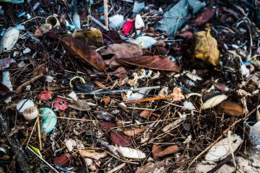 Koh Rong, Kamboçya, 22 Ocak 2025 Çöp ve plastik atık denize dökülüyor ve Kamboçya 'daki Koh Rong' un beyaz kumsallarına dökülüyor. Plastik kirliliği gezegenin her yerinde bulunur..
