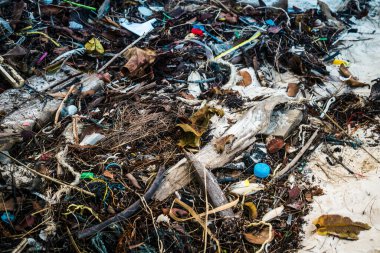 Koh Rong, Kamboçya, 22 Ocak 2025 Çöp ve plastik atık denize dökülüyor ve Kamboçya 'daki Koh Rong' un beyaz kumsallarına dökülüyor. Plastik kirliliği gezegenin her yerinde bulunur..