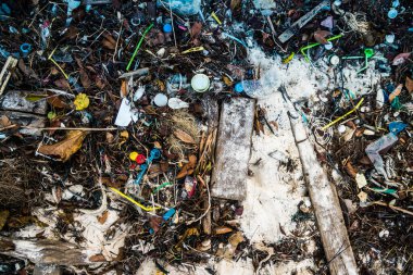 Koh Rong, Kamboçya, 22 Ocak 2025 Çöp ve plastik atık denize dökülüyor ve Kamboçya 'daki Koh Rong' un beyaz kumsallarına dökülüyor. Plastik kirliliği gezegenin her yerinde bulunur..