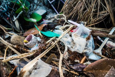 Koh Rong, Kamboçya, 22 Ocak 2025 Çöp ve plastik atık denize dökülüyor ve Kamboçya 'daki Koh Rong' un beyaz kumsallarına dökülüyor. Plastik kirliliği gezegenin her yerinde bulunur..