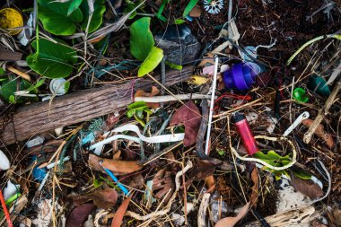 Koh Rong, Kamboçya, 22 Ocak 2025 Çöp ve plastik atık denize dökülüyor ve Kamboçya 'daki Koh Rong' un beyaz kumsallarına dökülüyor. Plastik kirliliği gezegenin her yerinde bulunur..