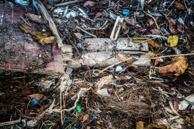 Koh Rong, Kamboçya, 22 Ocak 2025 Çöp ve plastik atık denize dökülüyor ve Kamboçya 'daki Koh Rong' un beyaz kumsallarına dökülüyor. Plastik kirliliği gezegenin her yerinde bulunur..