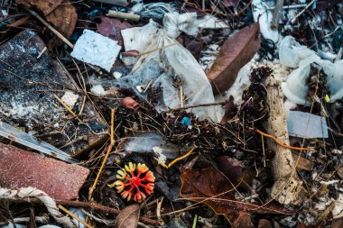 Koh Rong, Kamboçya, 22 Ocak 2025 Çöp ve plastik atık denize dökülüyor ve Kamboçya 'daki Koh Rong' un beyaz kumsallarına dökülüyor. Plastik kirliliği gezegenin her yerinde bulunur..