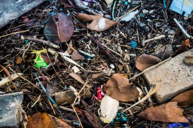 Koh Rong, Kamboçya, 22 Ocak 2025 Çöp ve plastik atık denize dökülüyor ve Kamboçya 'daki Koh Rong' un beyaz kumsallarına dökülüyor. Plastik kirliliği gezegenin her yerinde bulunur..