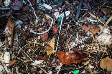 Koh Rong, Kamboçya, 22 Ocak 2025 Çöp ve plastik atık denize dökülüyor ve Kamboçya 'daki Koh Rong' un beyaz kumsallarına dökülüyor. Plastik kirliliği gezegenin her yerinde bulunur..