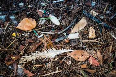 Koh Rong, Kamboçya, 22 Ocak 2025 Çöp ve plastik atık denize dökülüyor ve Kamboçya 'daki Koh Rong' un beyaz kumsallarına dökülüyor. Plastik kirliliği gezegenin her yerinde bulunur..