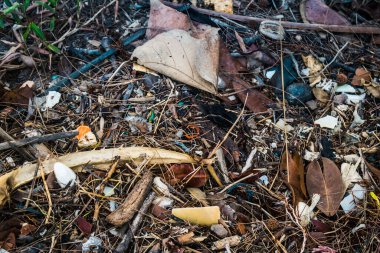 Koh Rong, Kamboçya, 22 Ocak 2025 Çöp ve plastik atık denize dökülüyor ve Kamboçya 'daki Koh Rong' un beyaz kumsallarına dökülüyor. Plastik kirliliği gezegenin her yerinde bulunur..