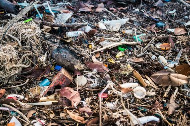 Koh Rong, Kamboçya, 22 Ocak 2025 Çöp ve plastik atık denize dökülüyor ve Kamboçya 'daki Koh Rong' un beyaz kumsallarına dökülüyor. Plastik kirliliği gezegenin her yerinde bulunur..