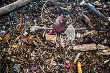 Koh Rong, Kamboçya, 22 Ocak 2025 Çöp ve plastik atık denize dökülüyor ve Kamboçya 'daki Koh Rong' un beyaz kumsallarına dökülüyor. Plastik kirliliği gezegenin her yerinde bulunur..