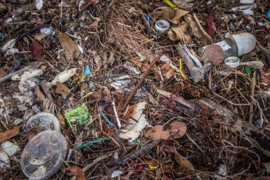 Koh Rong, Kamboçya, 22 Ocak 2025 Çöp ve plastik atık denize dökülüyor ve Kamboçya 'daki Koh Rong' un beyaz kumsallarına dökülüyor. Plastik kirliliği gezegenin her yerinde bulunur..