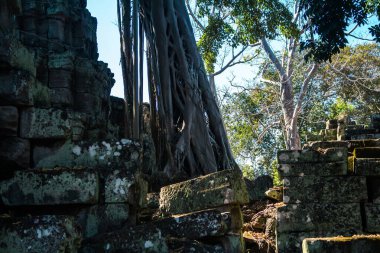 Siem hasadı, Kamboçya, 21 Ocak 2025 Banteay Kdei tapınağının Angkor Wat kompleksindeki mimarisi, antik Khmer başkenti Angkor 'da yer alan bir Hindu-Budist.