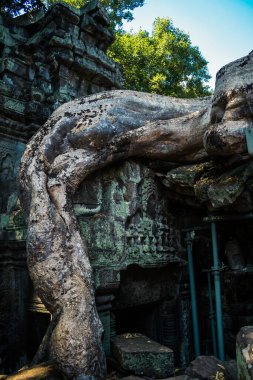 Siem hasadı, Kamboçya, 21 Ocak 2025 Banteay Kdei tapınağının Angkor Wat kompleksindeki mimarisi, antik Khmer başkenti Angkor 'da yer alan bir Hindu-Budist.