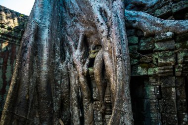 Siem hasadı, Kamboçya, 21 Ocak 2025 Banteay Kdei tapınağının Angkor Wat kompleksindeki mimarisi, antik Khmer başkenti Angkor 'da yer alan bir Hindu-Budist.