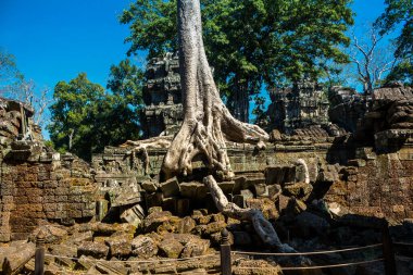 Siem hasadı, Kamboçya, 21 Ocak 2025 Banteay Kdei tapınağının Angkor Wat kompleksindeki mimarisi, antik Khmer başkenti Angkor 'da yer alan bir Hindu-Budist.