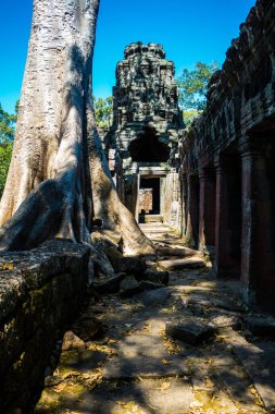 Siem hasadı, Kamboçya, 21 Ocak 2025 Banteay Kdei tapınağının Angkor Wat kompleksindeki mimarisi, antik Khmer başkenti Angkor 'da yer alan bir Hindu-Budist.