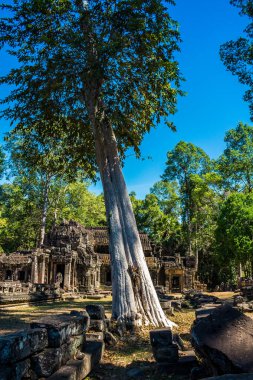 Siem hasadı, Kamboçya, 21 Ocak 2025 Banteay Kdei tapınağının Angkor Wat kompleksindeki mimarisi, antik Khmer başkenti Angkor 'da yer alan bir Hindu-Budist.