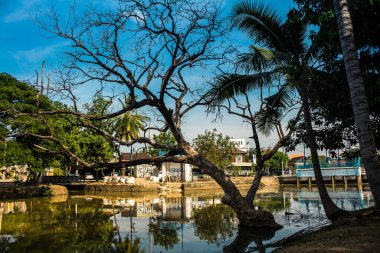 Siem Reap, Kamboçya, 25 Ocak 2025 Şehir ve Siem Reap sokakları. Angkor Wat kompleksi, hareketli pazarları, hareketli sokak hayatı ve nefis mutfağıyla ünlü.
