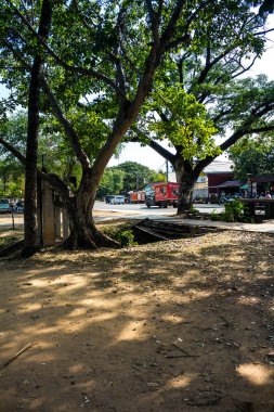 Siem Reap, Kamboçya, 25 Ocak 2025 Şehir ve Siem Reap sokakları. Angkor Wat kompleksi, hareketli pazarları, hareketli sokak hayatı ve nefis mutfağıyla ünlü.