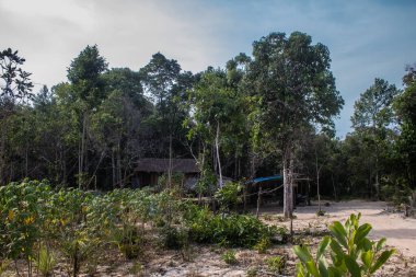 Koh Rong, Kamboçya, 24 Ocak 2025 Ormanın içinden Lonely Beach 'e, korunmuş bir yere ulaşmak için. Adanın hala yerleşim olmayan birkaç bakir plajı var.