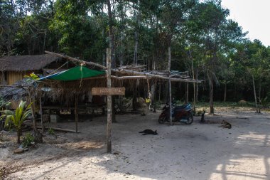 Koh Rong, Kamboçya, 24 Ocak 2025 Ormanın içinden Lonely Beach 'e, korunmuş bir yere ulaşmak için. Adanın hala yerleşim olmayan birkaç bakir plajı var.