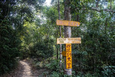 Koh Rong, Kamboçya, 24 Ocak 2025 Ormanın içinden Lonely Beach 'e, korunmuş bir yere ulaşmak için. Adanın hala yerleşim olmayan birkaç bakir plajı var.