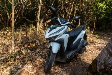 Koh Rong, Kamboçya, 24 Ocak 2025 Ormanın içinden Lonely Beach 'e, korunmuş bir yere ulaşmak için. Adanın hala yerleşim olmayan birkaç bakir plajı var.