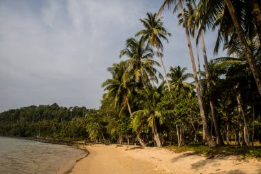 Koh Rong, Kamboçya, 24 Ocak 2025 Ormanın içinden Lonely Beach 'e, korunmuş bir yere ulaşmak için. Adanın hala yerleşim olmayan birkaç bakir plajı var.