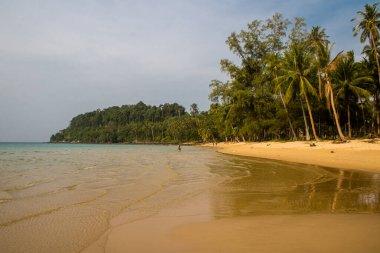 Koh Rong, Kamboçya, 24 Ocak 2025 Ormanın içinden Lonely Beach 'e, korunmuş bir yere ulaşmak için. Adanın hala yerleşim olmayan birkaç bakir plajı var.