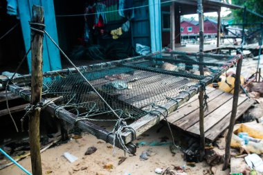 Preak Svay, Koh Rong Adası, Kamboçya, 30 Ocak 2025 Daily Life adanın kuzeyinde bulunan otantik yüzen bir Khmer balıkçı köyünde. Nüfusun ana faaliyeti balıkçılıktır..
