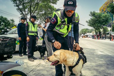 Bangkok, Tayland, 29 Mart 2025. Kurtarma köpeği ve arama köpeği, Tayland başkentini vuran depremden sonra çöken yüksek binadaki inşaat alanında çalışıyor..
