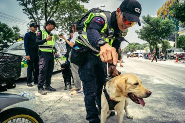 Bangkok, Tayland, 29 Mart 2025. Kurtarma köpeği ve arama köpeği, Tayland başkentini vuran depremden sonra çöken yüksek binadaki inşaat alanında çalışıyor..