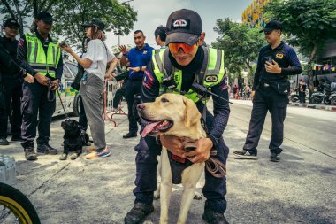 Bangkok, Tayland, 29 Mart 2025. Kurtarma köpeği ve arama köpeği, Tayland başkentini vuran depremden sonra çöken yüksek binadaki inşaat alanında çalışıyor..