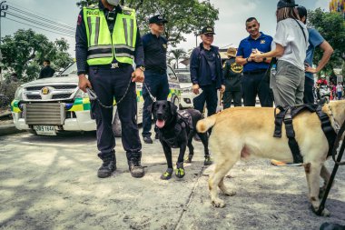 Bangkok, Tayland, 29 Mart 2025. Kurtarma köpeği ve arama köpeği, Tayland başkentini vuran depremden sonra çöken yüksek binadaki inşaat alanında çalışıyor..