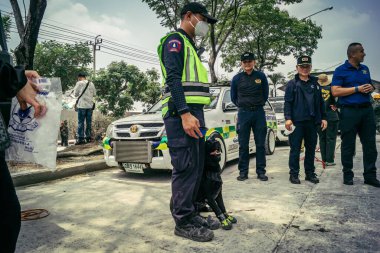 Bangkok, Tayland, 29 Mart 2025. Kurtarma köpeği ve arama köpeği, Tayland başkentini vuran depremden sonra çöken yüksek binadaki inşaat alanında çalışıyor..