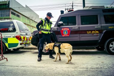 Bangkok, Tayland, 29 Mart 2025. Kurtarma köpeği ve arama köpeği, Tayland başkentini vuran depremden sonra çöken yüksek binadaki inşaat alanında çalışıyor..