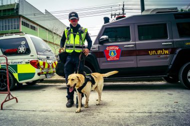 Bangkok, Tayland, 29 Mart 2025. Kurtarma köpeği ve arama köpeği, Tayland başkentini vuran depremden sonra çöken yüksek binadaki inşaat alanında çalışıyor..