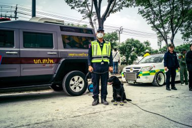 Bangkok, Tayland, 29 Mart 2025. Kurtarma köpeği ve arama köpeği, Tayland başkentini vuran depremden sonra çöken yüksek binadaki inşaat alanında çalışıyor..
