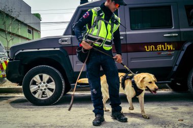 Bangkok, Tayland, 29 Mart 2025. Kurtarma köpeği ve arama köpeği, Tayland başkentini vuran depremden sonra çöken yüksek binadaki inşaat alanında çalışıyor..