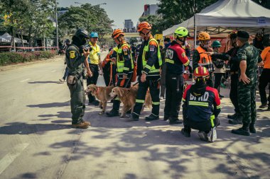 Bangkok, Tayland, 29 Mart 2025. Kurtarma köpeği ve arama köpeği, Tayland başkentini vuran depremden sonra çöken yüksek binadaki inşaat alanında çalışıyor..