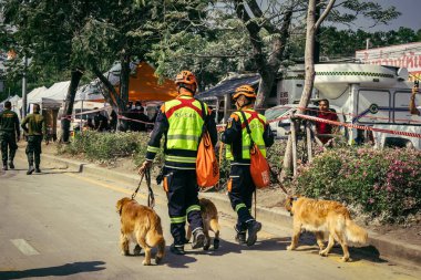 Bangkok, Tayland, 29 Mart 2025. Kurtarma köpeği ve arama köpeği, Tayland başkentini vuran depremden sonra çöken yüksek binadaki inşaat alanında çalışıyor..
