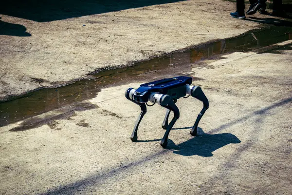 Bangkok, Tayland, 29 Mart 2025. Kurtarma ekipleri robotları, Tayland başkentini deprem vurduktan sonra çöken yüksek katlı bir binanın inşaatında hayatta kalanları bulmak için kullanıyor..