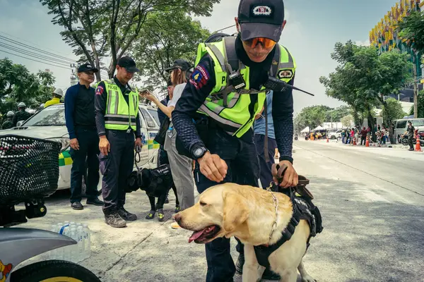 Bangkok, Tayland, 29 Mart 2025. Kurtarma köpeği ve arama köpeği, Tayland başkentini vuran depremden sonra çöken yüksek binadaki inşaat alanında çalışıyor..