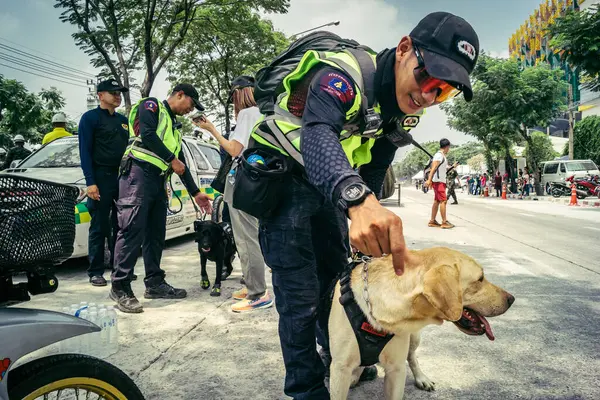Bangkok, Tayland, 29 Mart 2025. Kurtarma köpeği ve arama köpeği, Tayland başkentini vuran depremden sonra çöken yüksek binadaki inşaat alanında çalışıyor..