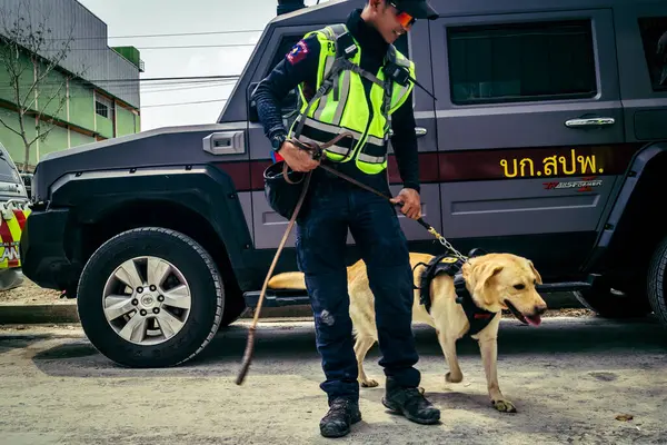 Bangkok, Tayland, 29 Mart 2025. Kurtarma köpeği ve arama köpeği, Tayland başkentini vuran depremden sonra çöken yüksek binadaki inşaat alanında çalışıyor..