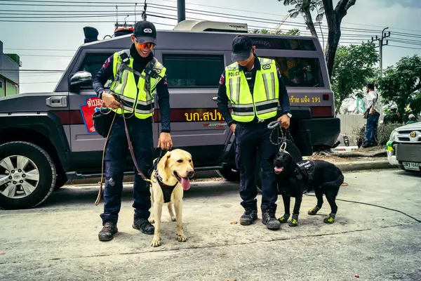 Bangkok, Tayland, 29 Mart 2025. Kurtarma köpeği ve arama köpeği, Tayland başkentini vuran depremden sonra çöken yüksek binadaki inşaat alanında çalışıyor..
